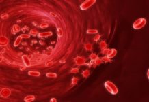रक्तातील प्लेटलेट्स वाढवण्याचे ६ सोपे उपाय