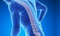 Attention Men: Osteoporosis no more common just among women