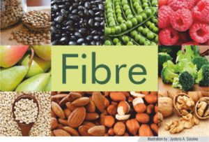 Fibre is important for body