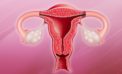 Pune doctors welcome India’s first uterus transplant surgery