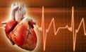 Faulty lifestyle can cause heart ailments
