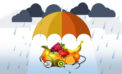 ‘Foods to strengthen your immunity during monsoon’