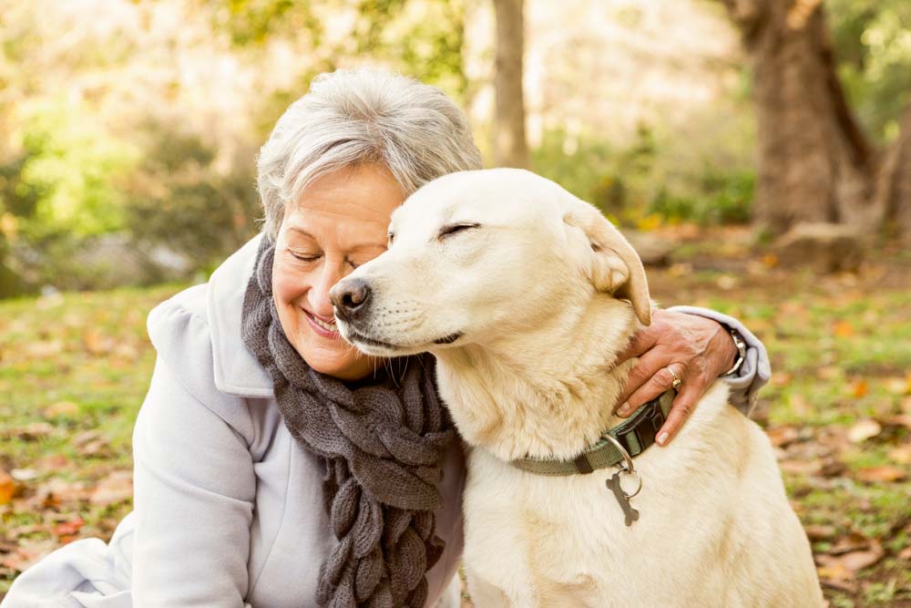 Owning a dog could reduce your mortality risk and boost heart health