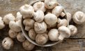 Consuming mushrooms can help prevent cognitive decline